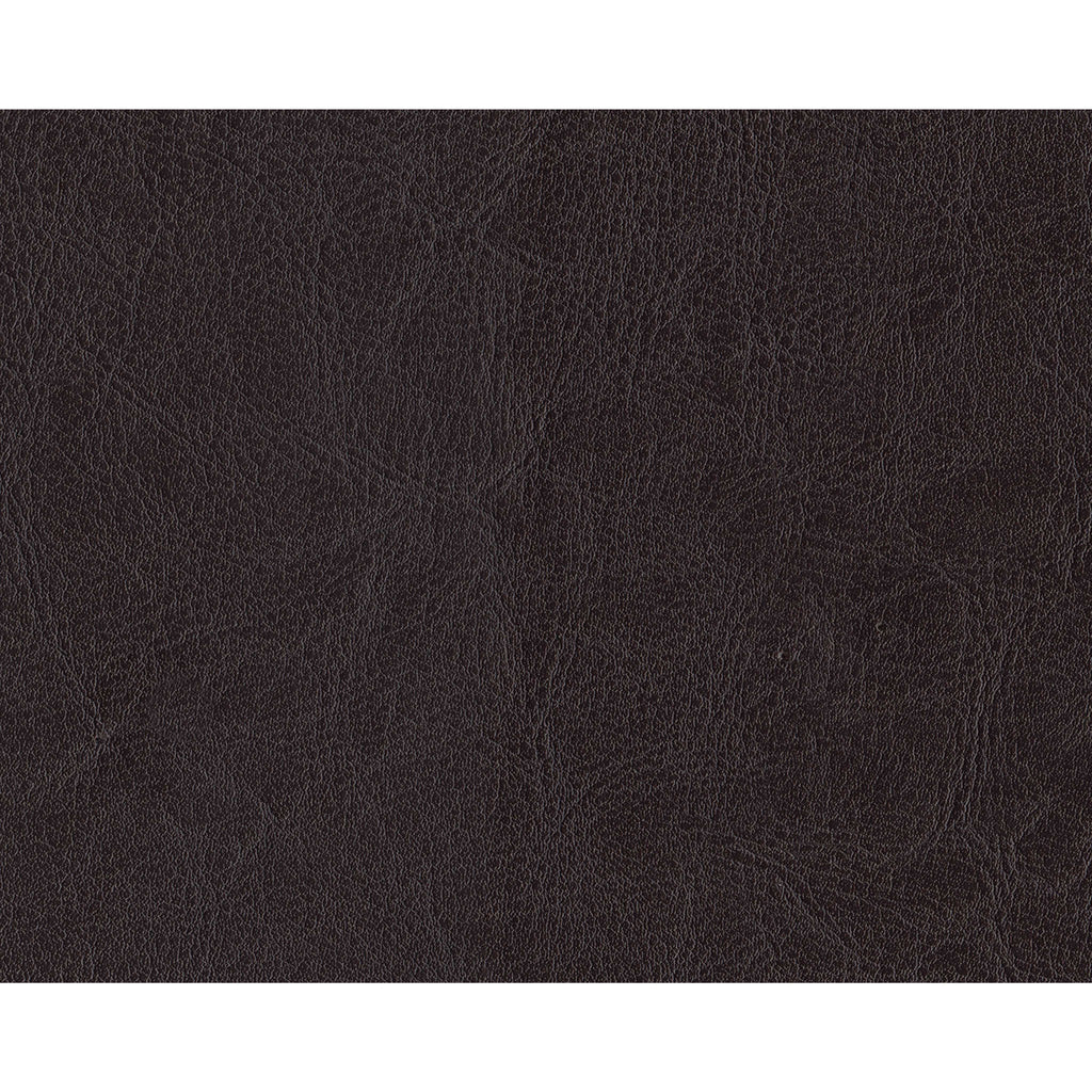 Earhart Reclining Sofa